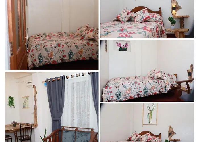 Green Heart Homestay