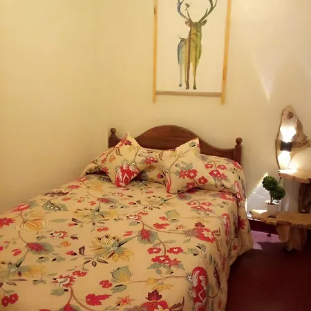 Green Heart Homestay Nuwara Eliya Exterior photo