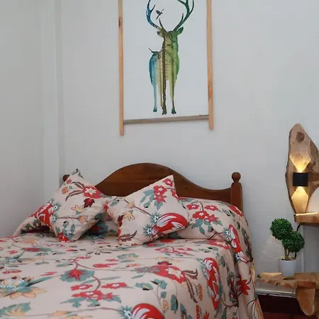 Green Heart Homestay Nuwara Eliya Exterior photo