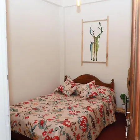 Green Heart Homestay Nuwara Eliya Exterior photo
